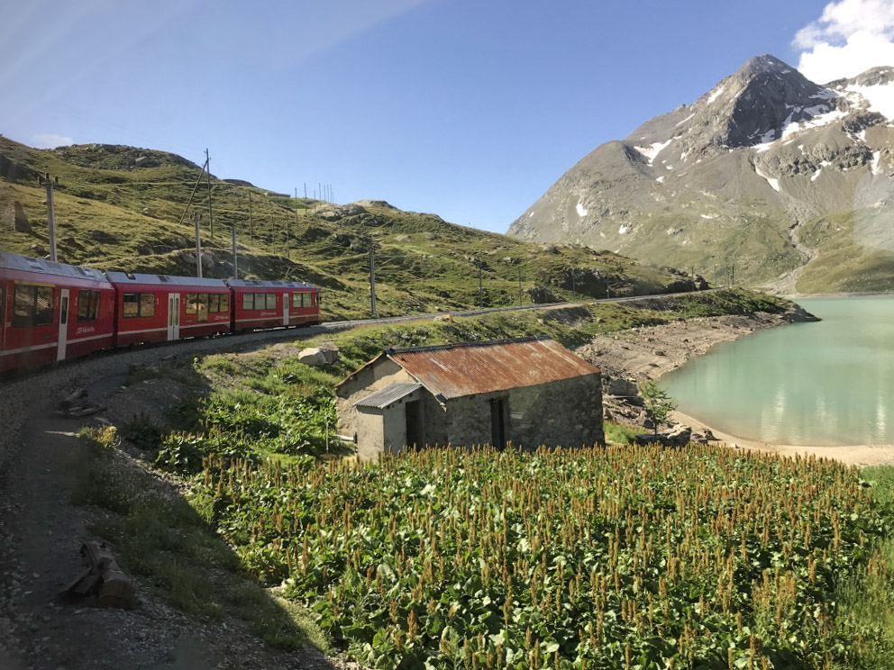 A glimpse of the beautiful Swiss Alps in the summer - with wildflowers blooming and teal lakes shimmering.