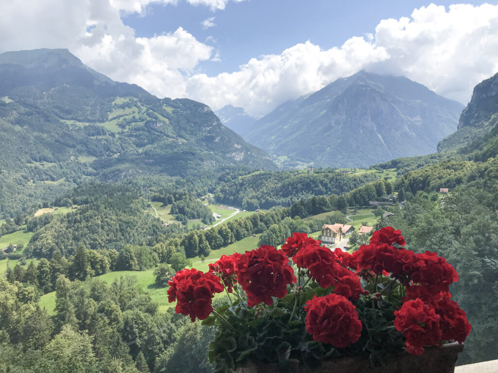 Red carnations dot the balcony looking over the lush green Swiss Alps in the Jungfrau Region of Switzerland.