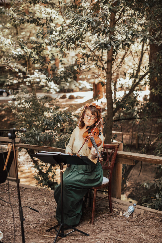 Old Mill Park Ampitheater wedding - string quartet.