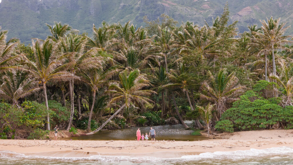 Family enjoying a nearly free 1-week vacation in Kauai, Hawaii, using travel rewards and points. Scenic beach, tropical vibes, and budget-friendly travel proof. Photo by Aloha Island Photography.