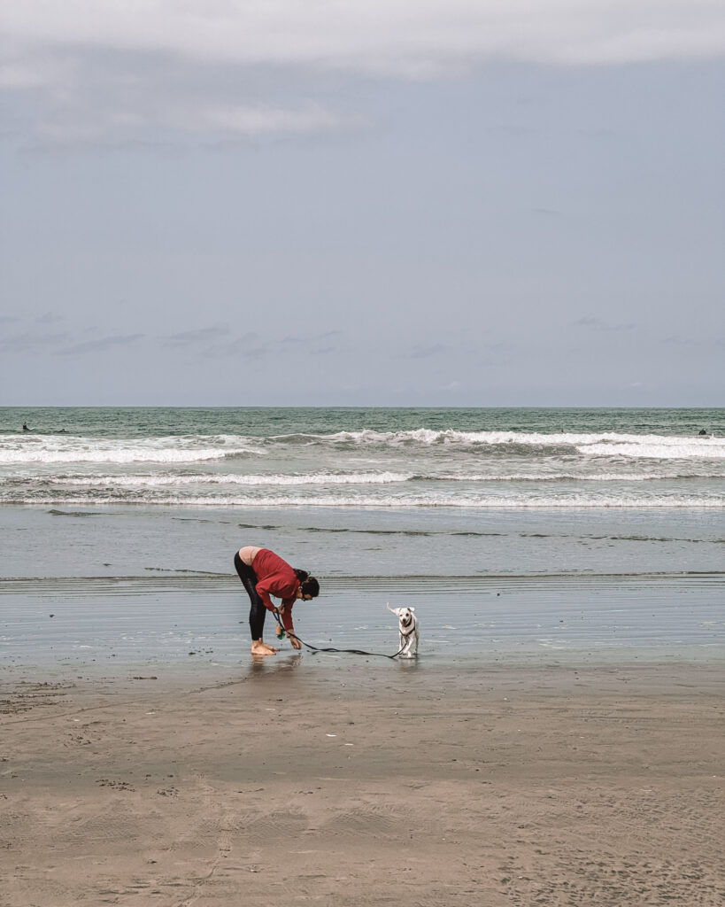 A dog plays while a women picks up sea shells in Oceanside, CA.